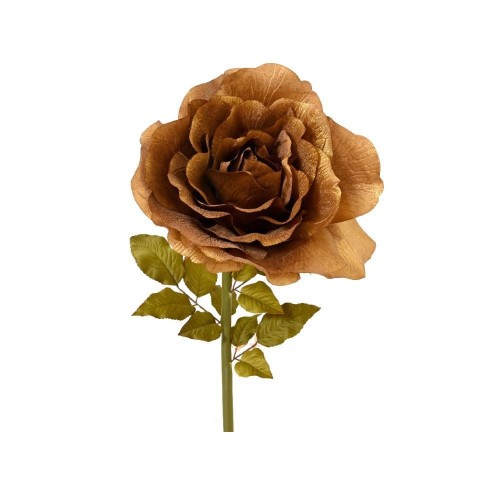 ROSA GIGANTE ORO H.125